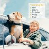 Dog Seat Belt Leash Adjustable Pet Dog Safety Leads Harness Car Vehicle Nylon Fabric Seatbelt Strap 2Pcs