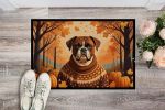 Boxer Doormat 24H X 36W - Fall Indoor Outdoor Rugs for Entryway, Non Slip