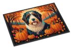 Bearded Collie Doormat 24H X 36W - Fall Indoor Outdoor Rugs for Entryway, Non Slip