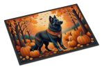 Belgian Sheepdog Doormat 24H X 36W - Fall Indoor Outdoor Rugs for Entryway, Non Slip