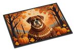 Boxer Doormat 24H X 36W - Fall Indoor Outdoor Rugs for Entryway, Non Slip