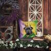 Cane Corso Throw Pillow Machine Washable, Indoor Outdoor Decorative Pillow for Couch, Bed or Patio, 18Hx18W - Mardi Gras