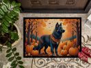Belgian Sheepdog Doormat 24H X 36W - Fall Indoor Outdoor Rugs for Entryway, Non Slip