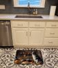 Australian Shepherd Fall Kitchen Pumpkins Memory Foam Kitchen Mat Machine Washable Anti-Fatigue Mat Cushion Comfort Bath Mat or Kitchen Rug