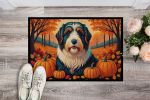 Bearded Collie Doormat 24H X 36W - Fall Indoor Outdoor Rugs for Entryway, Non Slip