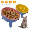 Raised Tilted Elevated Bowl Water Dish Feeding Bowl for Small Dogs