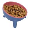 Raised Tilted Elevated Bowl Water Dish Feeding Bowl for Small Dogs