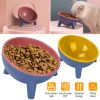 Raised Tilted Elevated Bowl Water Dish Feeding Bowl for Small Dogs