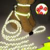 Ultimate Comfort Dog Leash