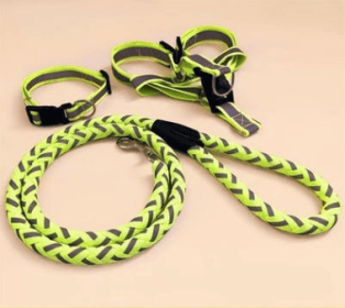 Ultimate Comfort Dog Leash (Color: Green, size: M)