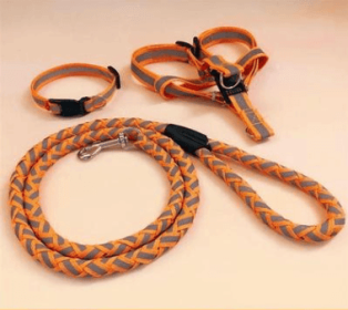 Ultimate Comfort Dog Leash (Color: Orange, size: M)