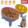 Raised Tilted Elevated Bowl Water Dish Feeding Bowl for Small Dogs