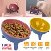 Raised Tilted Elevated Bowl Water Dish Feeding Bowl for Small Dogs